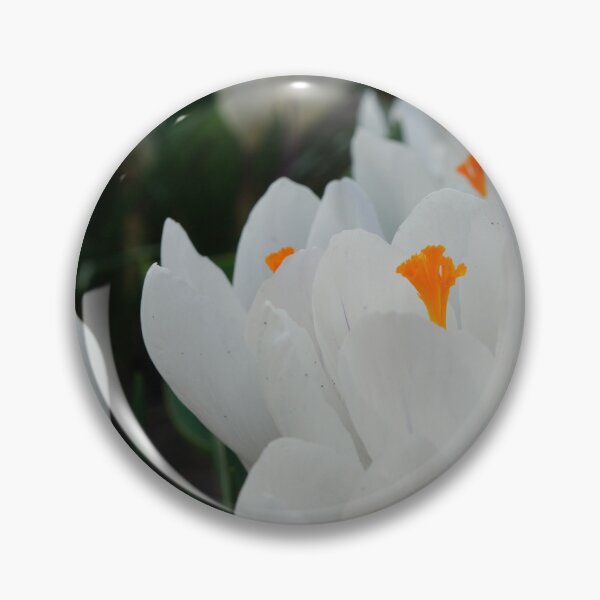 Item preview, Spring  crocuses designed and sold by Jonnekesart.