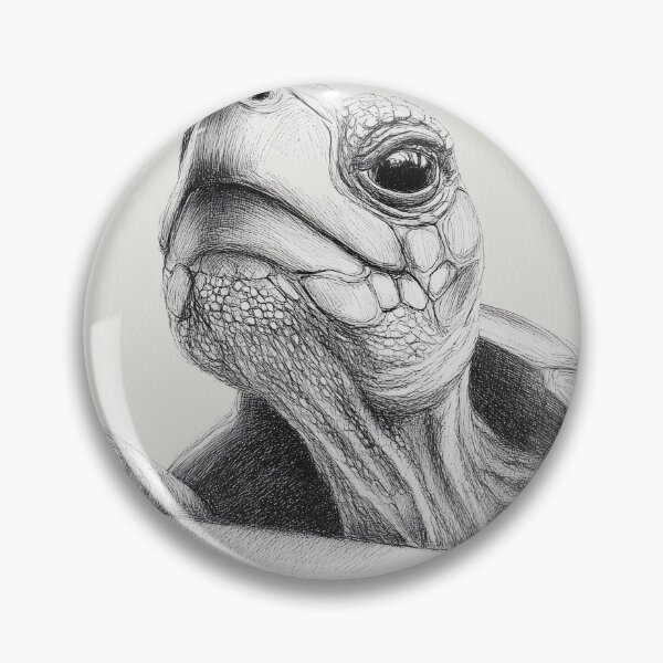 Artikelvorschau, Detaillierte Schildkrötenskizze entworfen und verkauft von lautir.
