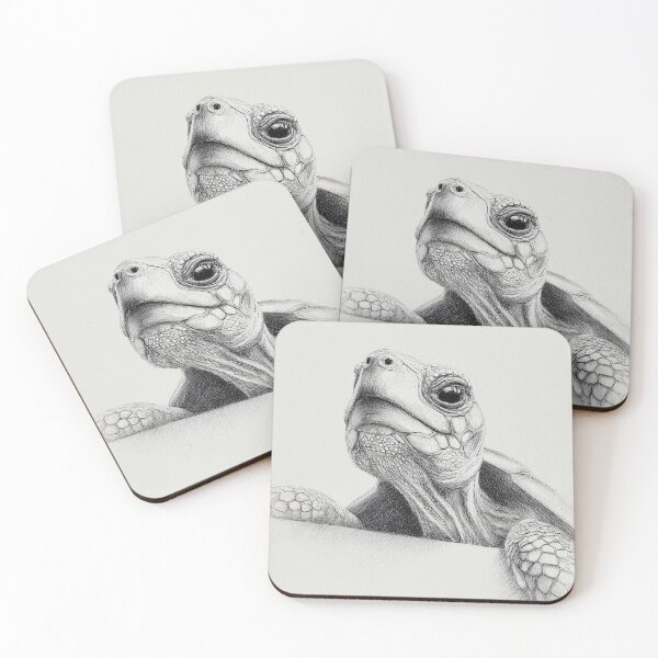 Item preview, Detailed Turtle Sketch designed and sold by lautir.