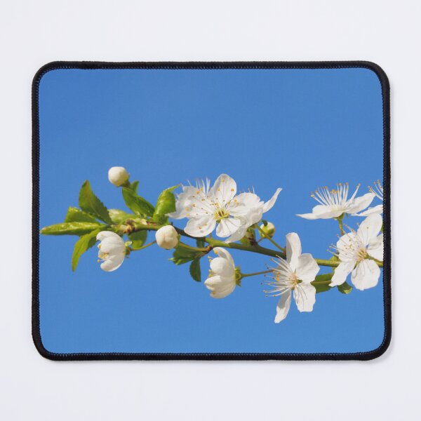 Item preview, White on blue designed and sold by AsahiNoAme.