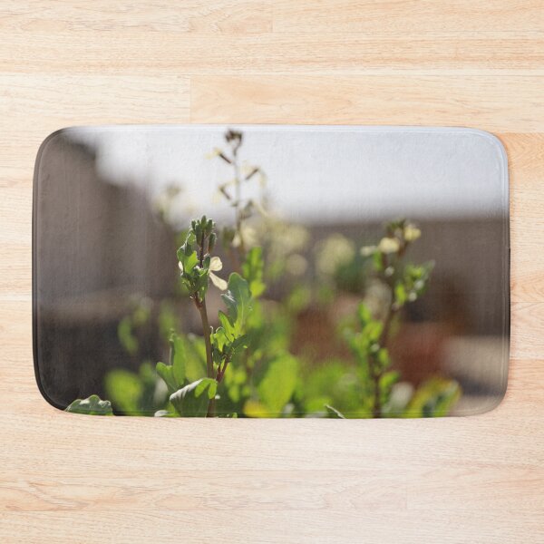 Item preview, Berros al sol designed and sold by diabphotography.