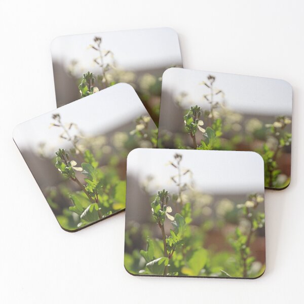 Item preview, Watercress in the Sunlight designed and sold by diabshoots.