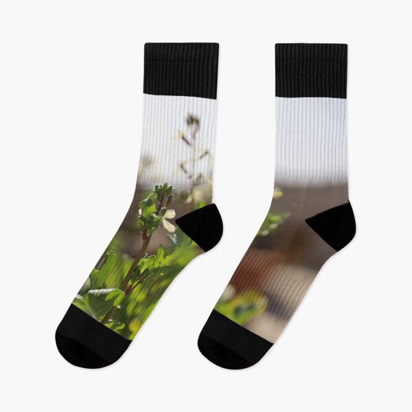 Item preview, Watercress in the Sunlight designed and sold by diabphotography.