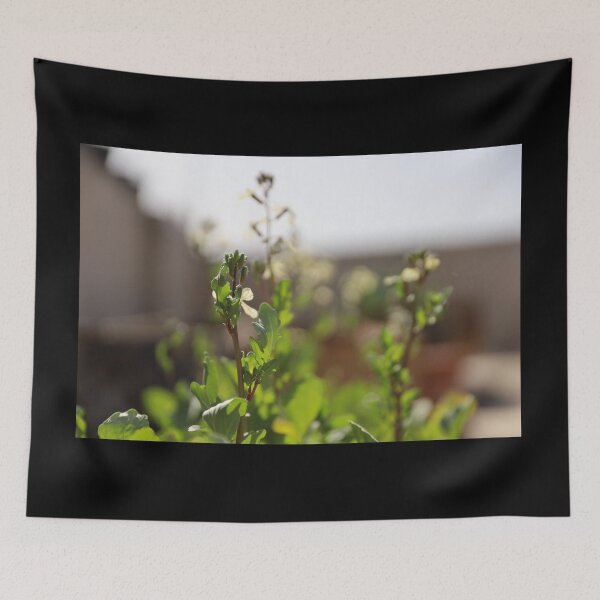 Item preview, Watercress in the Sunlight designed and sold by diabphotography.