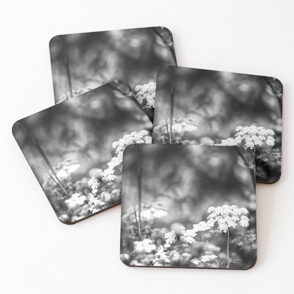 Item preview, Ptilimnium nuttallii B&W designed and sold by NunoPires.
