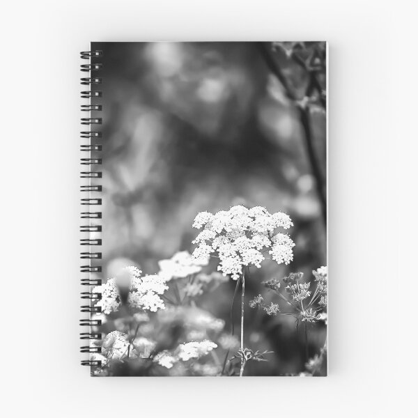 Item preview, Ptilimnium nuttallii B&W designed and sold by NunoPires.