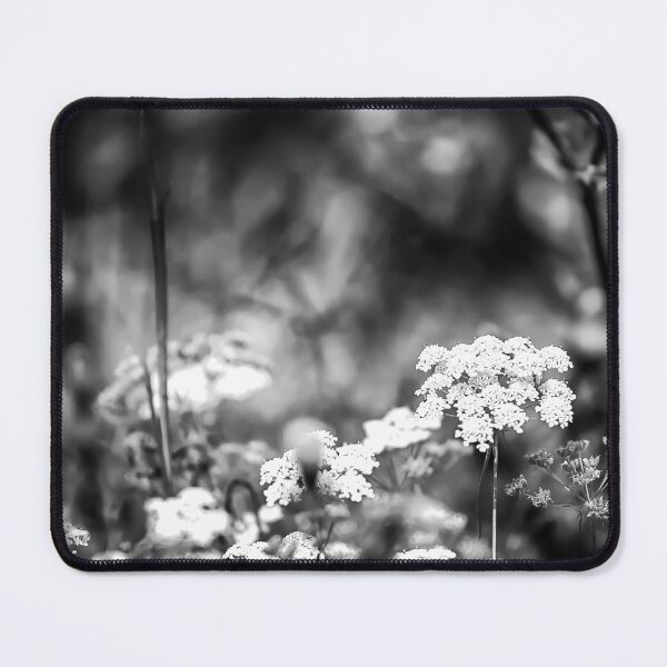 Item preview, Ptilimnium nuttallii B&W designed and sold by NunoPires.