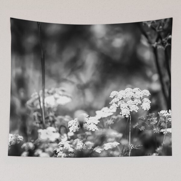 Item preview, Ptilimnium nuttallii B&W designed and sold by NunoPires.