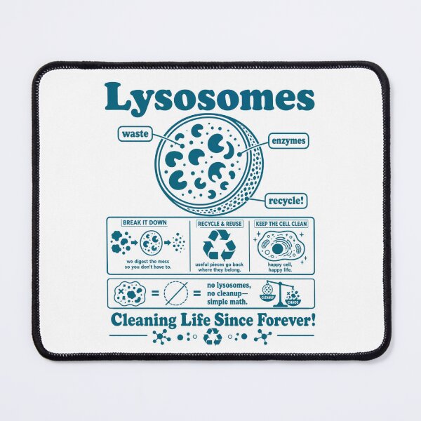 Item preview, Lysosome Diagram Cleaning Life Since Forever Biology Humor designed and sold by FreshVibe Prints.