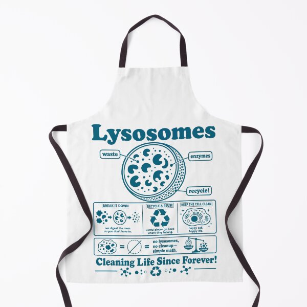 Item preview, Lysosome Diagram Cleaning Life Since Forever Biology Humor designed and sold by FreshVibe Prints.