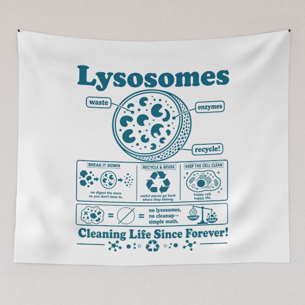 Item preview, Lysosome Diagram Cleaning Life Since Forever Biology Humor designed and sold by FreshVibe Prints.