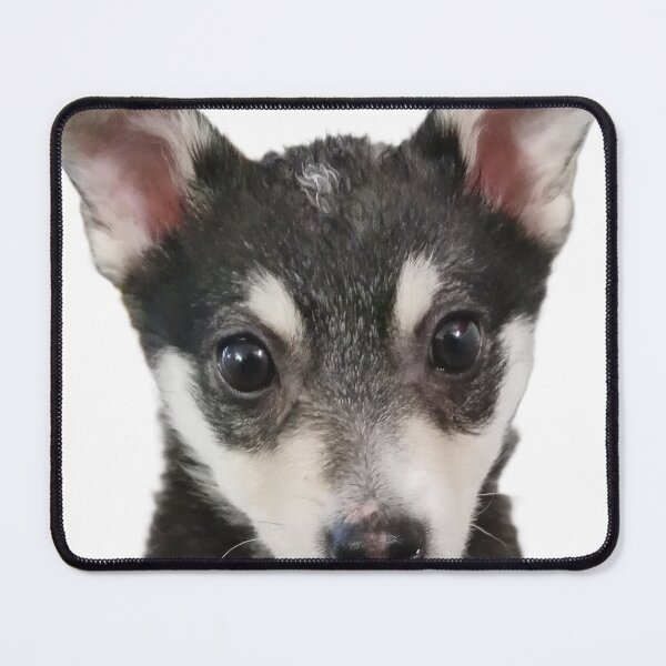 Item preview, I'M PAWSOME!!! designed and sold by Petmar.