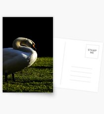 Sunshine Dreams Postcards