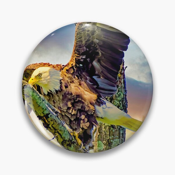 Item preview, Bald Eagle about to Fly from Ancient Tree Perch designed and sold by AMacGPhilly.