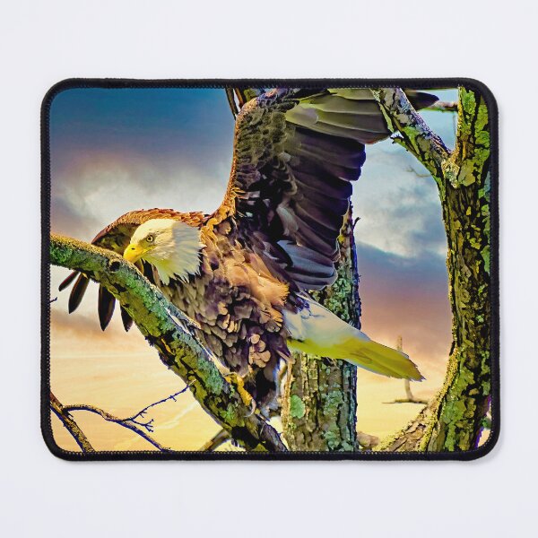 Item preview, Bald Eagle about to Fly from Ancient Tree Perch designed and sold by AMacGPhilly.
