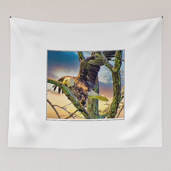 Item preview, Bald Eagle about to Fly from Ancient Tree Perch designed and sold by AMacGPhilly.