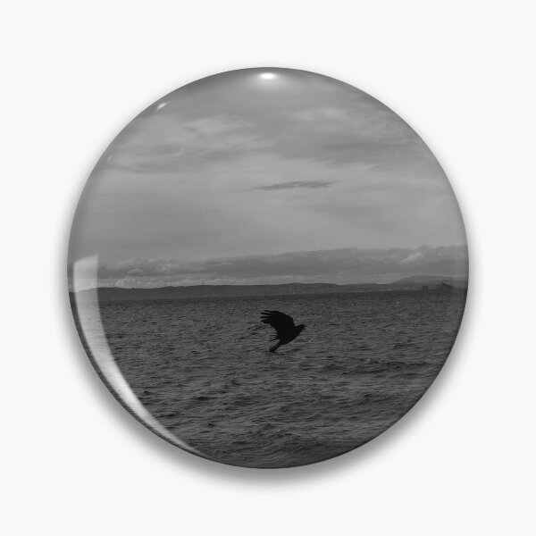 Item preview, majestic crow flying on the coast of Musselburgh (Edinburgh, Scotland) (april 2026) designed and sold by photosbykel.