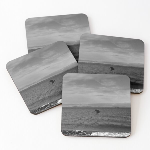 Item preview, majestic crow flying on the coast of Musselburgh (Edinburgh, Scotland) (april 2026) designed and sold by photosbykel.