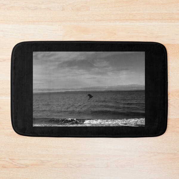 Item preview, majestic crow flying on the coast of Musselburgh (Edinburgh, Scotland) (april 2026) designed and sold by photosbykel.