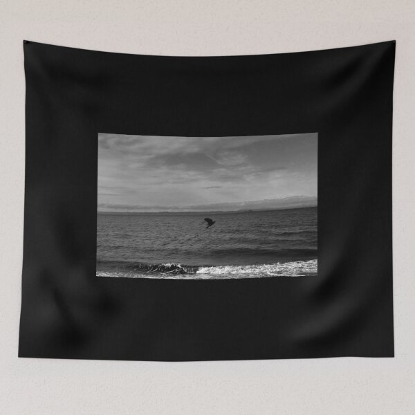 Item preview, majestic crow flying on the coast of Musselburgh (Edinburgh, Scotland) (april 2026) designed and sold by photosbykel.