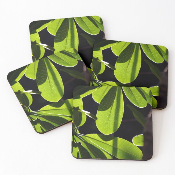 Item preview, Evergreen Delight designed and sold by Kerryn Madsen-Pietsch.