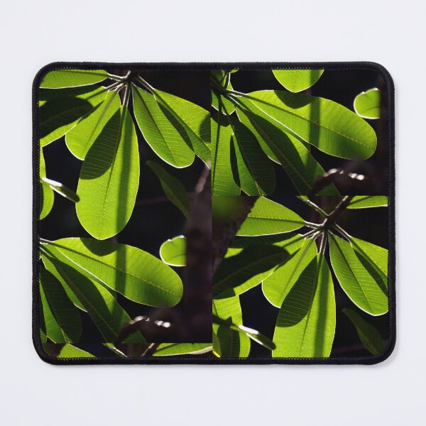 Item preview, Evergreen Delight designed and sold by Kerryn Madsen-Pietsch.