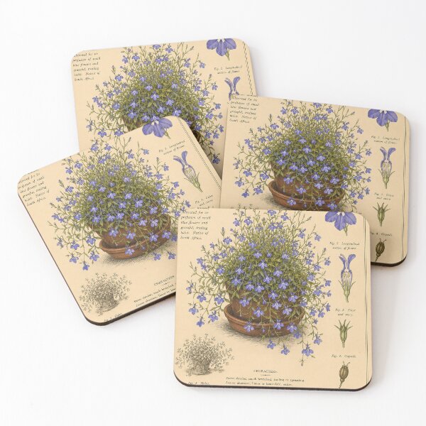 Item preview, Victorian Lobelia Botanical Illustration | Antique Trailing Lobelia Floral Print designed and sold by BethnalShop.