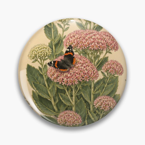Item preview, Victorian Sedum Botanical Illustration | Antique Stonecrop Natural History Print designed and sold by BethnalShop.