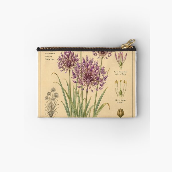 Item preview, Victorian Allium Botanical Illustration | Antique Ornamental Onion Floral Print designed and sold by BethnalShop.