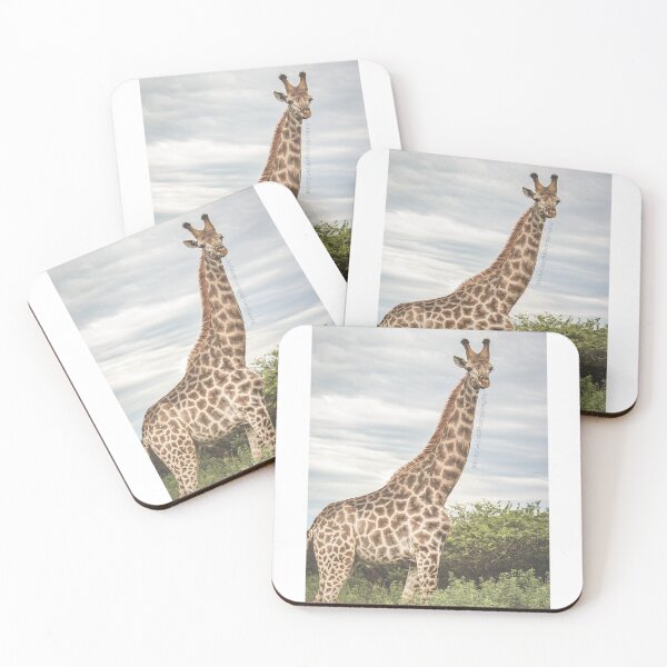 Item preview, Giraffe Side Profile designed and sold by NickyLeighPhoto.