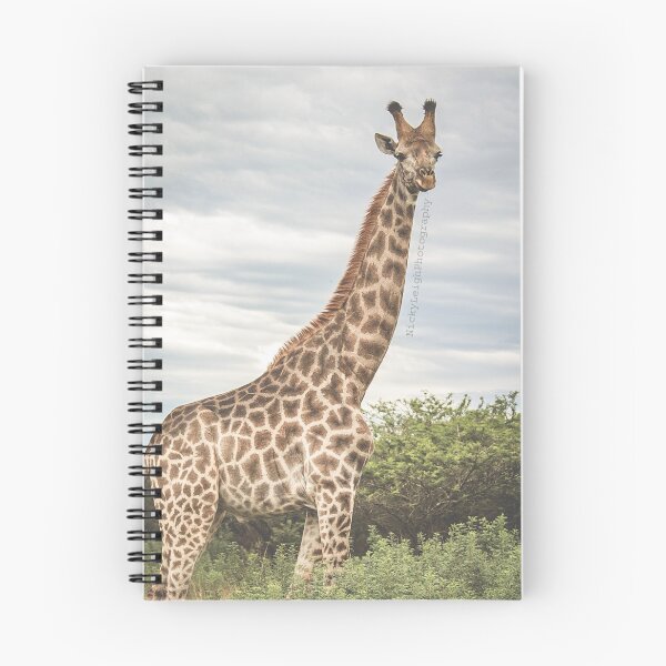 Item preview, Giraffe Side Profile designed and sold by NickyLeighPhoto.