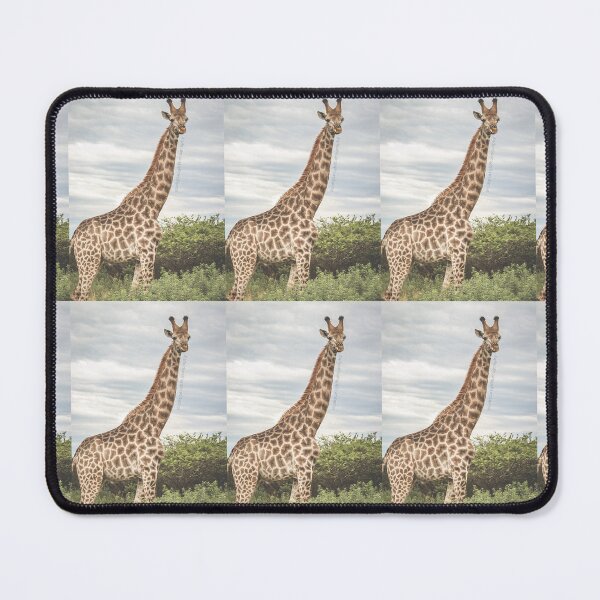 Item preview, Giraffe Side Profile designed and sold by NickyLeighPhoto.