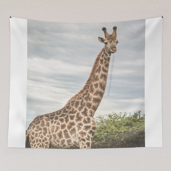 Item preview, Giraffe Side Profile designed and sold by NickyLeighPhoto.