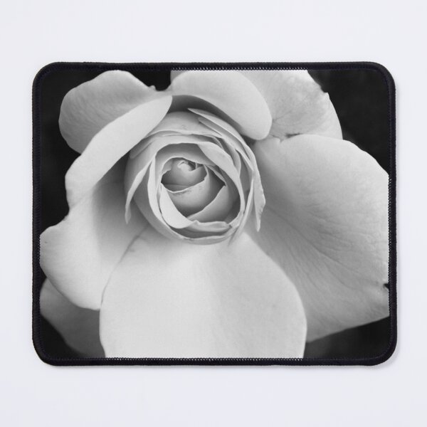 Item preview, Single White Rose Fine Art Photo On Black designed and sold by DEC02.