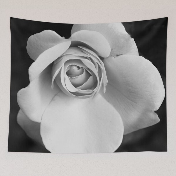 Item preview, Single White Rose Fine Art Photo On Black designed and sold by DEC02.
