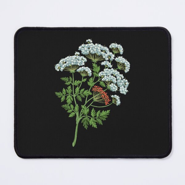 Item preview, Poison Hemlock designed and sold by Memento Missy.
