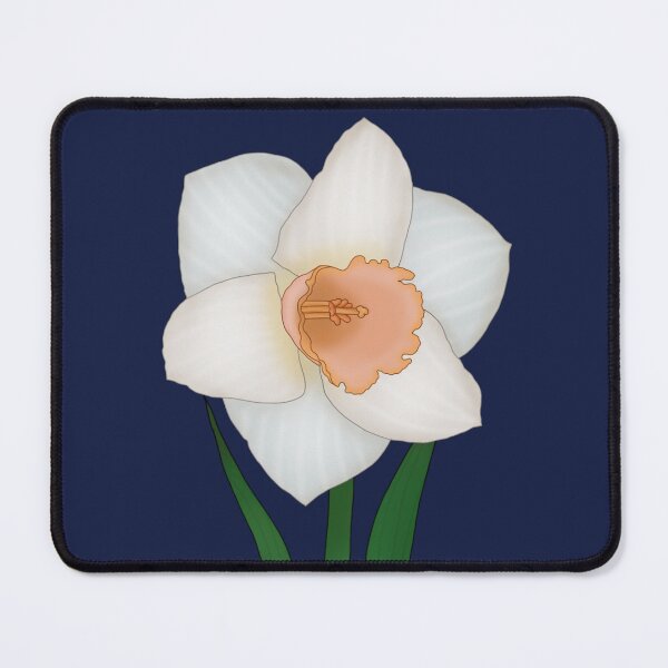 Item preview, Salome Daffodil  designed and sold by Floralfusion.