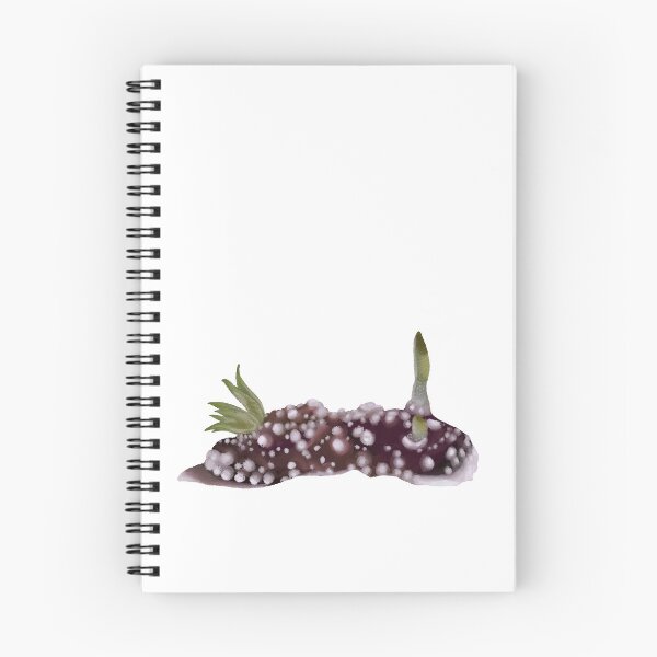 Item preview, Nudibranch - sea slug - Goniobranchus Geometricus designed and sold by Poulpimousse.