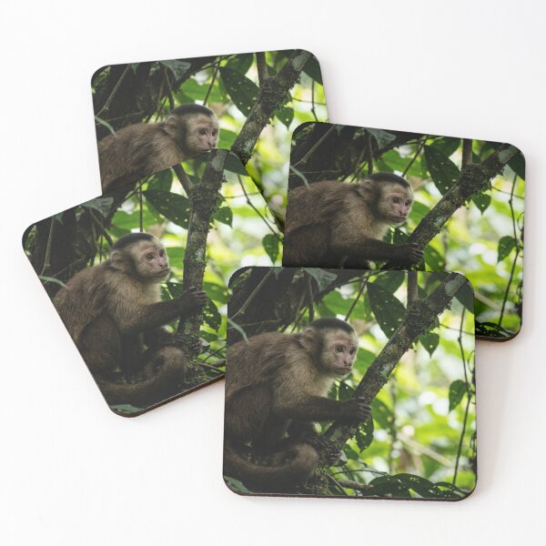 Item preview, Capuchin monkey observing from the shade of a tree designed and sold by Malisa345.
