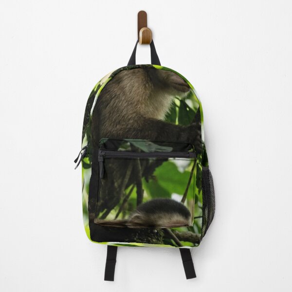 Item preview, Capuchin monkey observing from the shade of a tree designed and sold by Malisa345.
