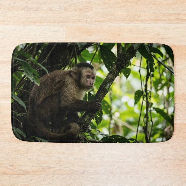 Item preview, Capuchin monkey observing from the shade of a tree designed and sold by Malisa345.