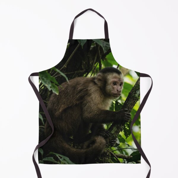 Item preview, Capuchin monkey observing from the shade of a tree designed and sold by Malisa345.