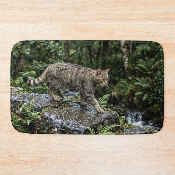Item preview, Wild cat walking on wet rock designed and sold by Malisa345.