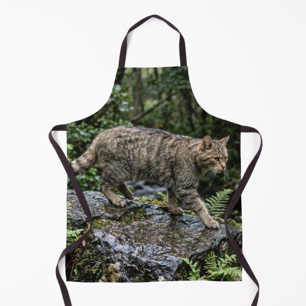 Item preview, Wild cat walking on wet rock designed and sold by Malisa345.