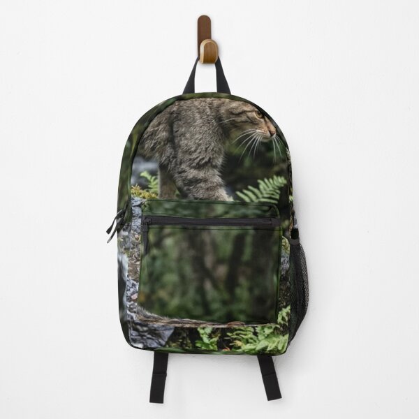 Item preview, Wild cat walking on wet rock designed and sold by Malisa345.