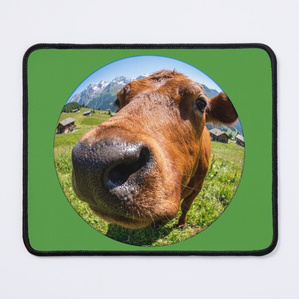 Item preview, Nosy Cow designed and sold by Tridentulus.