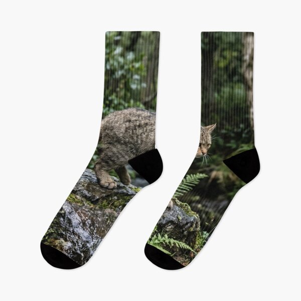 Item preview, Wild cat walking on wet rock designed and sold by Malisa345.