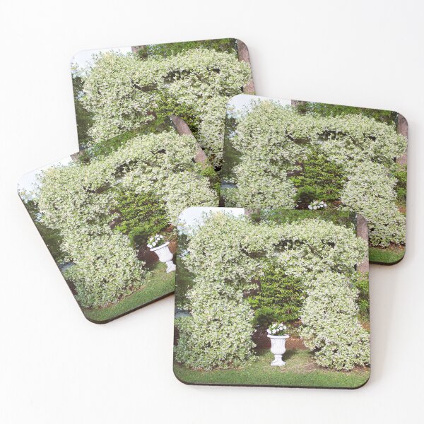 Item preview, Garden Arch with Star Jasmine designed and sold by Cynthia48.