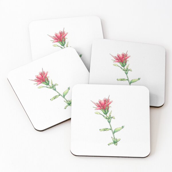 Item preview, Indian Paintbrush  designed and sold by laurawatkins27.