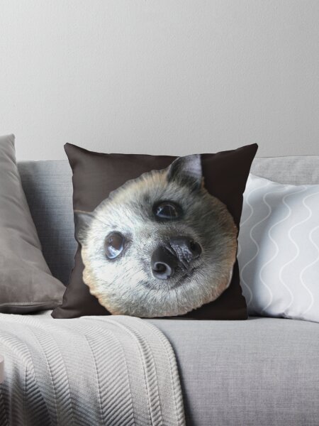 Larry The Black Flying Fox Bat. Pillow for Sale by BabyBats Redbubble